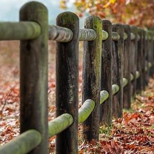 Cumque rerum molestiae nesciunt non.